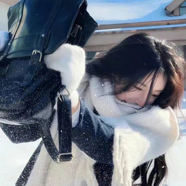 追逃海报